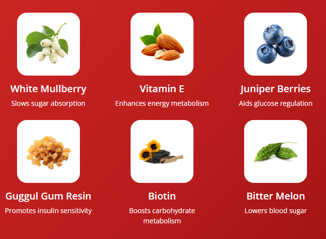 GlucoArmor key ingredients panel including White Mulberry, Vitamin E, Juniper Berries, Guggul Gum Resin, Biotin, and Bitter Melon for glycemic control.